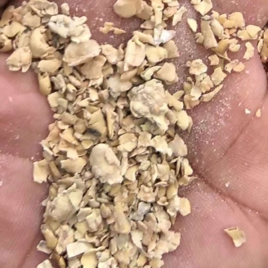 正定县豆粕