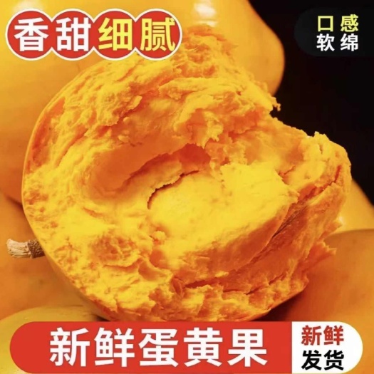 鸡蛋果熟果蛋黄海南正宗热带应季水果批发蛋黄果新鲜当季云南特产