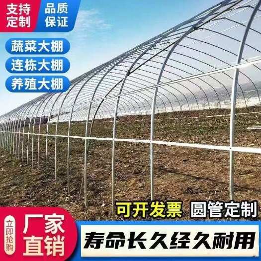 沭阳县蔬菜种植大棚钢管骨架温室椭圆管养殖大棚全套连栋保温大棚半坡棚
