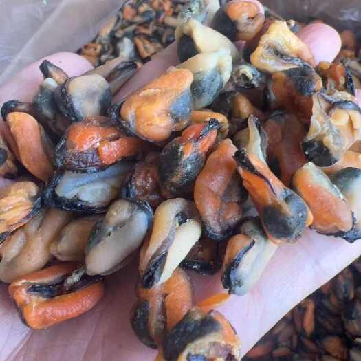 佛山淡菜 地摊电商批发淡菜干干淡菜海虹干海产品批发