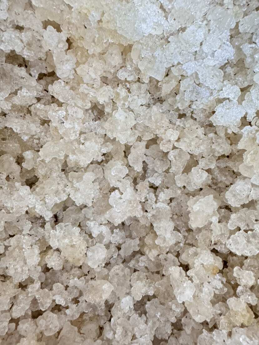 广州雪燕 大量雪燕批发 量大可商议