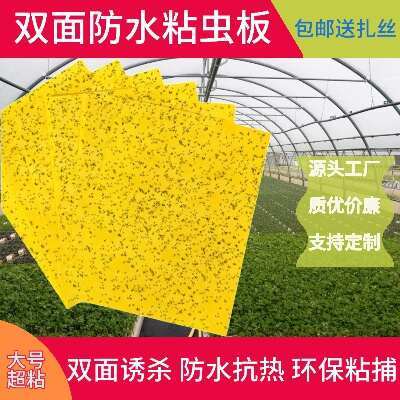 商丘粘虫板黄板大棚专用双面小黑飞果蝇诱捕器诱虫板贴纸农用家用花园