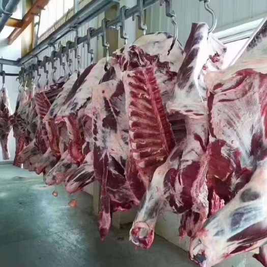 乌后旗内蒙牛羊肉