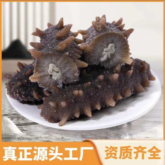 霞浦县海参厂家批发 即食海参辽参福建海参口感Q弹鲜食海参产地直发