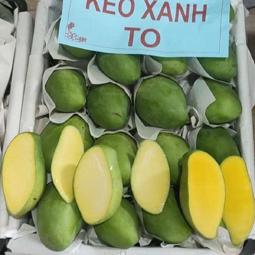 凭祥市越南新品玉芒