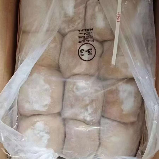 郑州国产119小肚带金肚