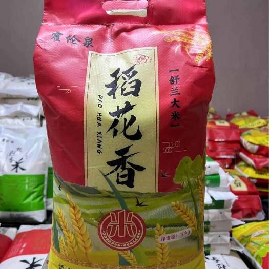 长春纯舒兰稻花香