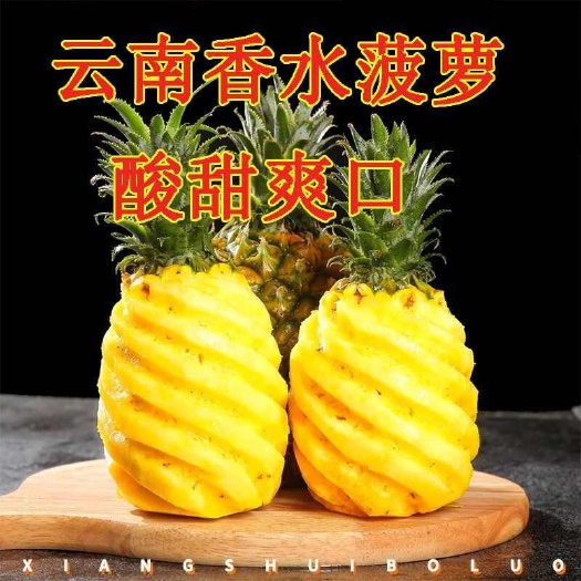 昆明云南香水菠萝露天种植新鲜菠萝当季大果香甜多汁产地直发水果菠萝