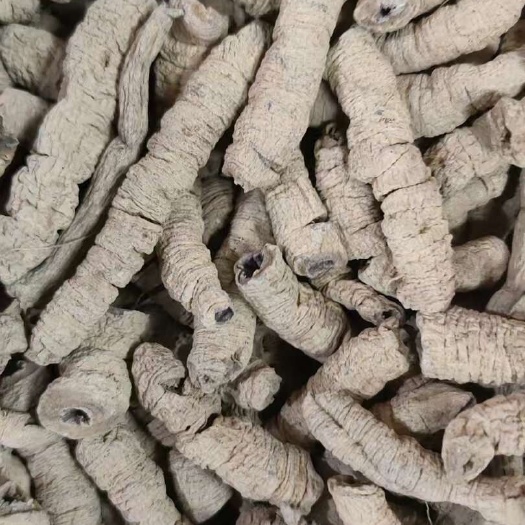巴戟 抽芯巴戟 足干质量好