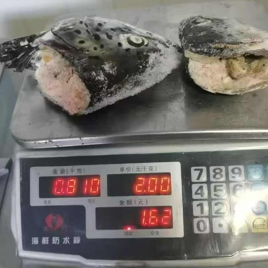 延吉市3文鱼头8500一吨