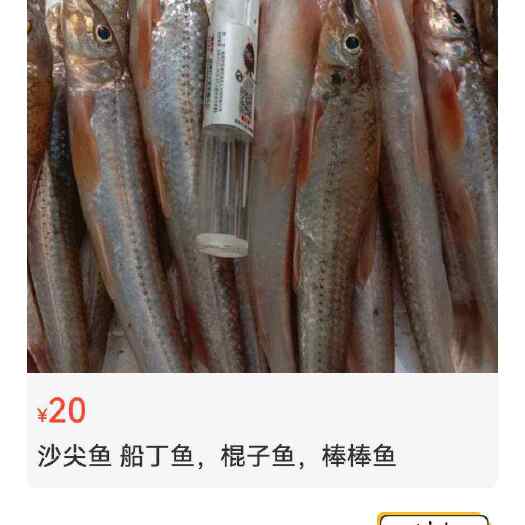 健竿鱼，棍子鱼，船丁鱼