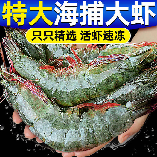 青岛大虾超大基围虾速冻海虾海鲜水产鲜活冷冻新鲜特大青虾鲜虾类