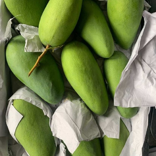 三亚大青芒可以生熟两吃的水果无论生脆还是成熟香甜都能带来不同体验