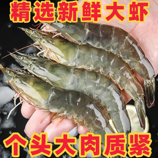 【特大虾】新鲜青岛大虾国产冰鲜冷冻冷冻水产基围虾批发青虾白虾