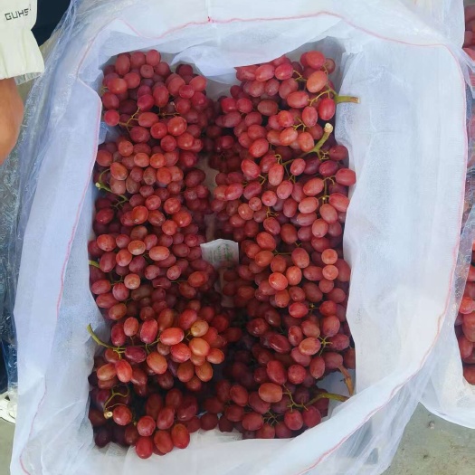 大荔县陕西精品克伦生库存货