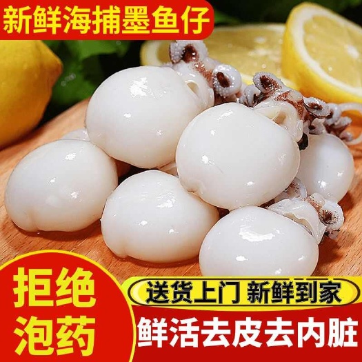 连云港新鲜小墨鱼仔海捕鲜活冷冻小乌贼章鱼仔海鲜速冻花枝墨斗鱼小墨鱼