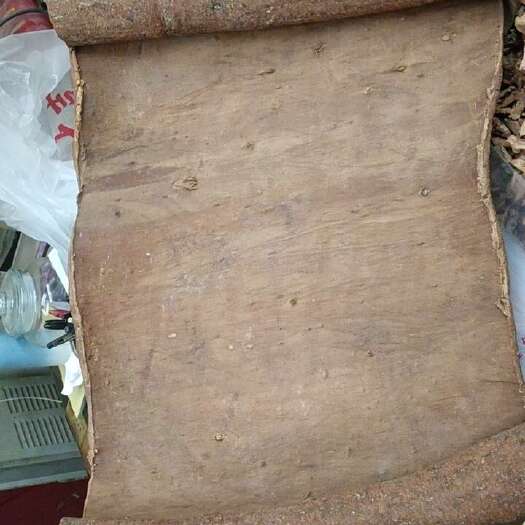 成都板桂