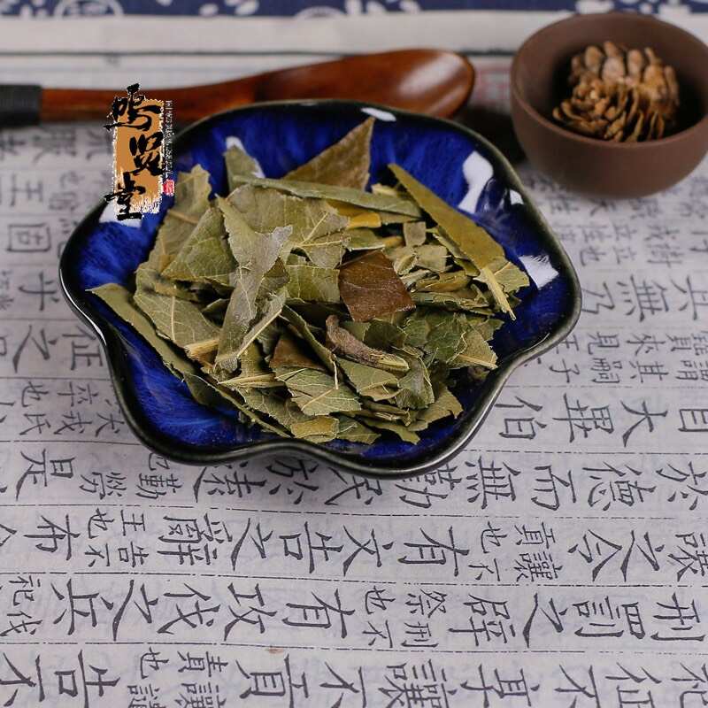 枇杷叶新鲜自然晒干正品枇杷叶无硫枇杷叶新货批发包邮