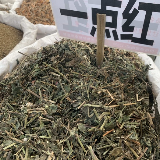中药材 叶下枝 一点红 量大从优