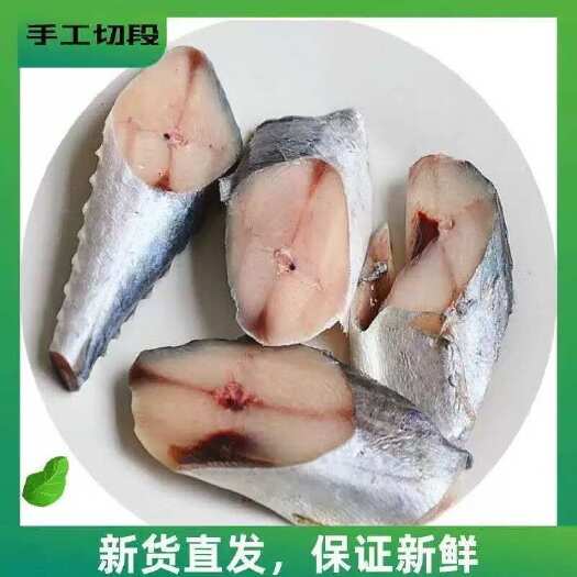 鲅鱼段去头鲅鱼片马鲛鱼燕鲅鱼海鱼新鲜冷冻海鲜食堂餐饮批发