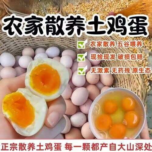 芜湖农家土鸡蛋整箱批发新鲜营养健康无激素五谷喂养