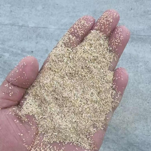 监利市筛糠