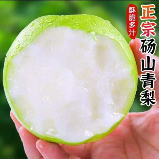 砀山县皇冠梨当季新鲜水果梨子整箱翠冠梨水果酥脆蜜梨早梨青砀山梨