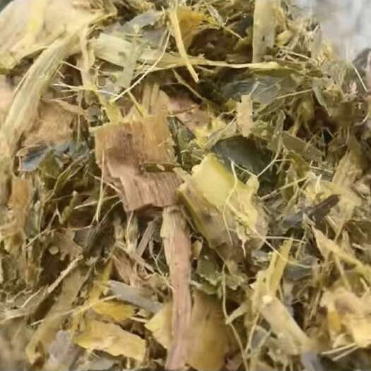 卫辉市玉米黄储