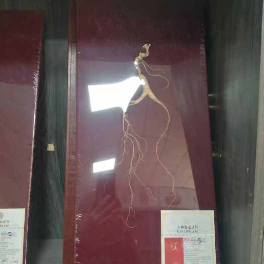 东丰县60公分的，一等，22、3年，带皮盒邮顺丰