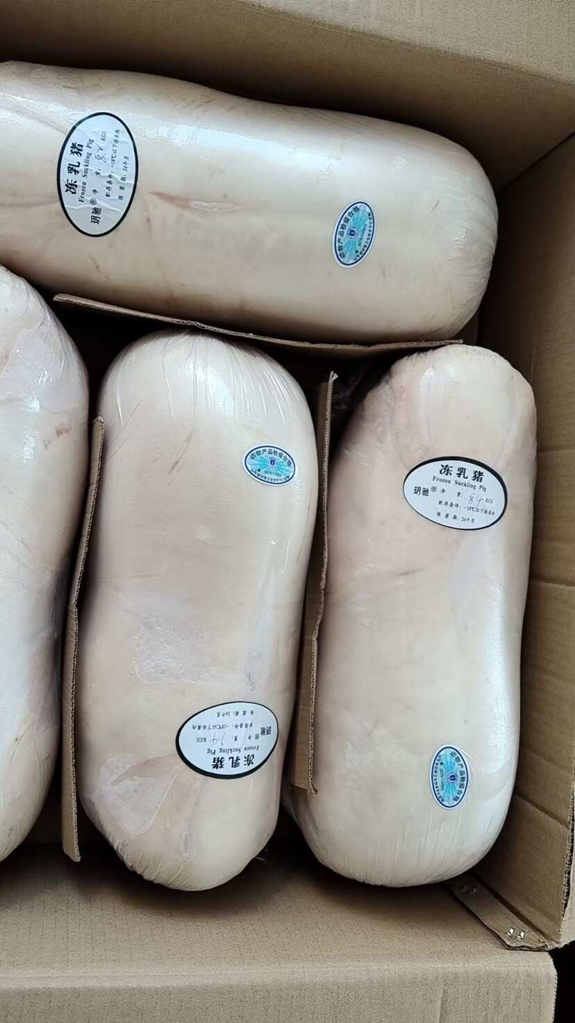 精选乳猪，品质保证，让您的烤乳猪更出彩!
