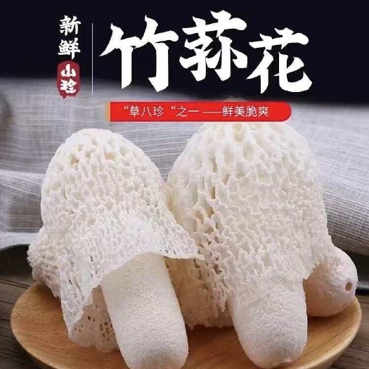 广州竹荪