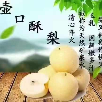 宜川县宜川酥梨
