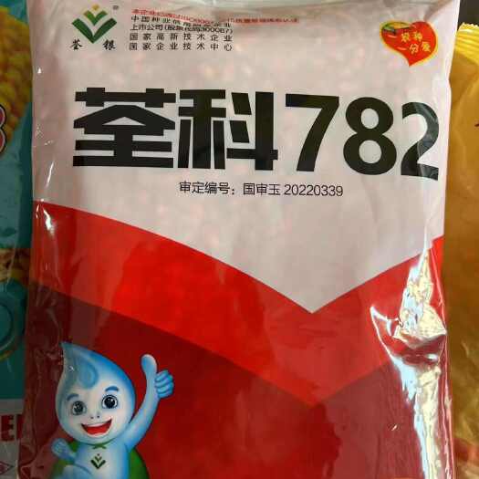 封丘县国审荃科782锈病免疫抗倒耐高温不花粒秃尖