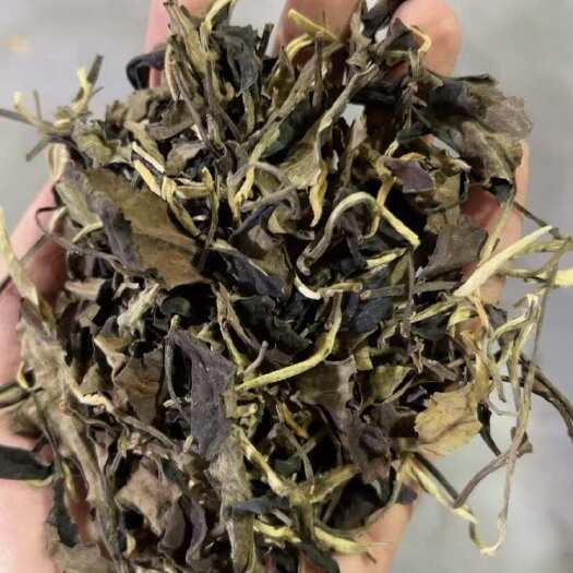 松阳县老白茶