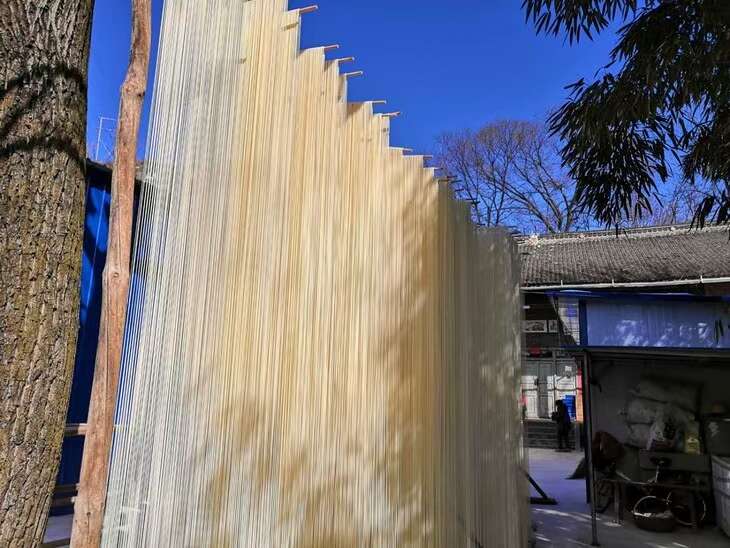 河南焦作温县特色山药面 粮油米面优质面条 细面精选食材淮山面