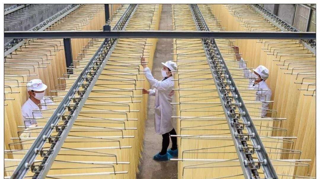 河南焦作温县特色山药面 粮油米面优质面条 细面精选食材淮山面