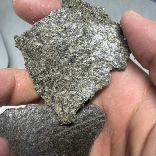 塔城市哈萨克斯坦油葵饼