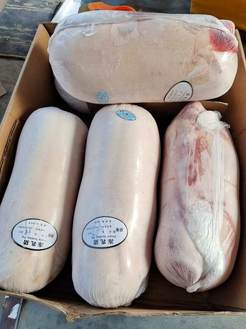 精选乳猪，品质保证，让您的烤乳猪更出彩!