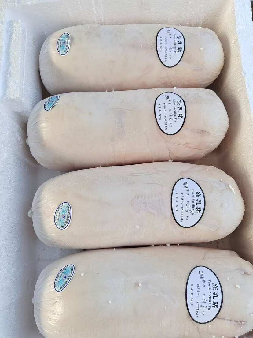 精选乳猪，品质保证，让您的烤乳猪更出彩!