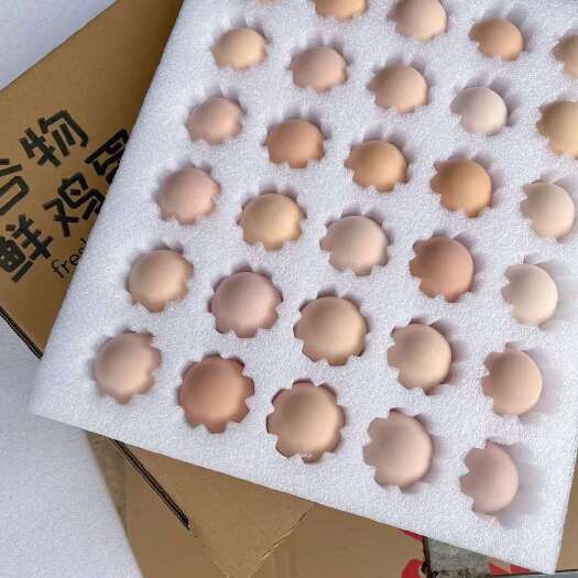 高州市粉鸡蛋