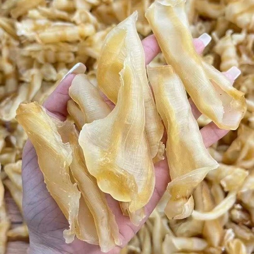 广州新货红鱼肚70-75头刚到一批：泡发率高，货靓