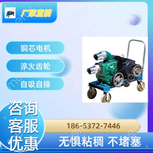 嘉祥县养殖场专用污水粪便抽粪泵