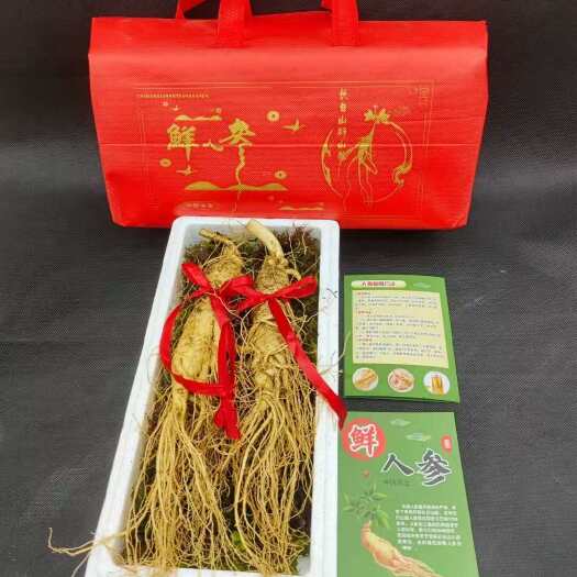 抚松县园参