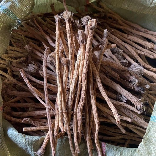 亳州甘肃内蒙防风精品条，任何规格