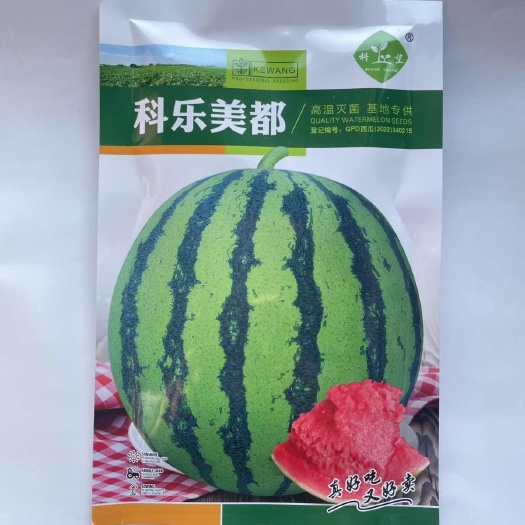 宿州可乐美都西瓜种子苗厂批发代理亿都美都