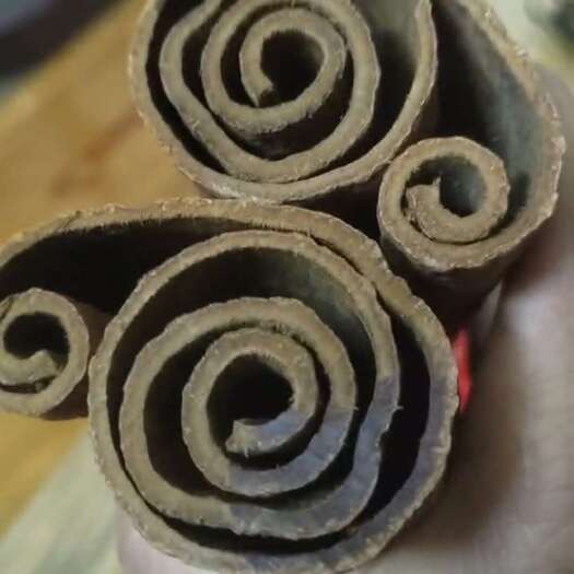 平南县世界地理标志产品，药食同源，桂皮中的王者，油桂，25年3月