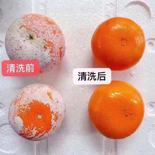 元江县好吃的茂谷柑
