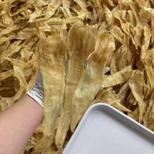 广州北海阴阳胶鳘鱼胶潮汕人爱吃