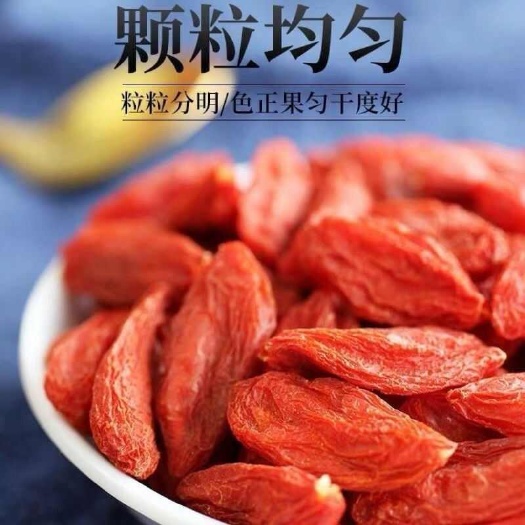 宁夏银川永宁枸杞干货精品 干果坚果类农产品批发零售