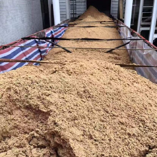 惠州压榨啤酒糟 长期有货￼ 厂家直销 ￼